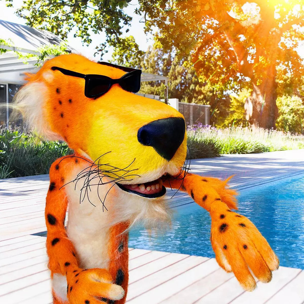 Cheetos Puffs Cheese Flavored  - 8Oz